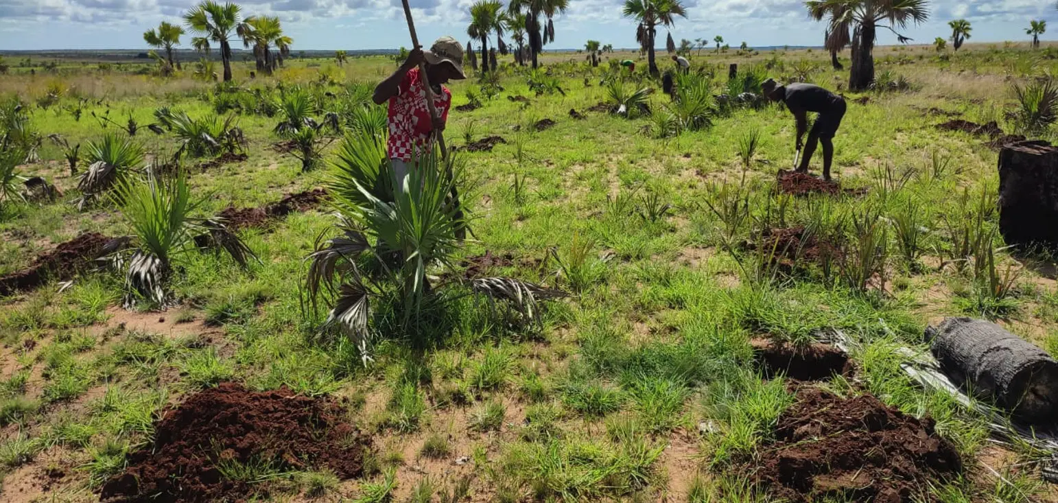 lutte contre l’érosion à Madagascar