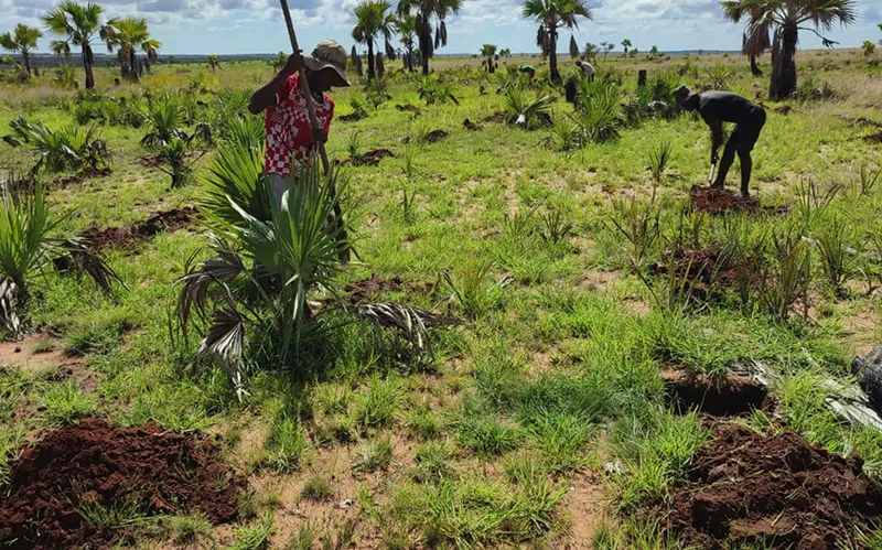 protection des sols Madagascar